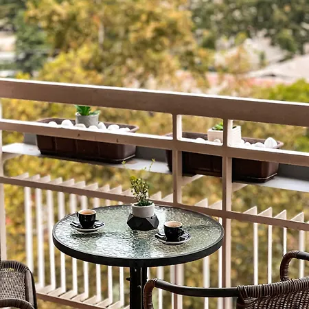 Centre Luxury Apartment Σκόπια Εξωτερικό φωτογραφία